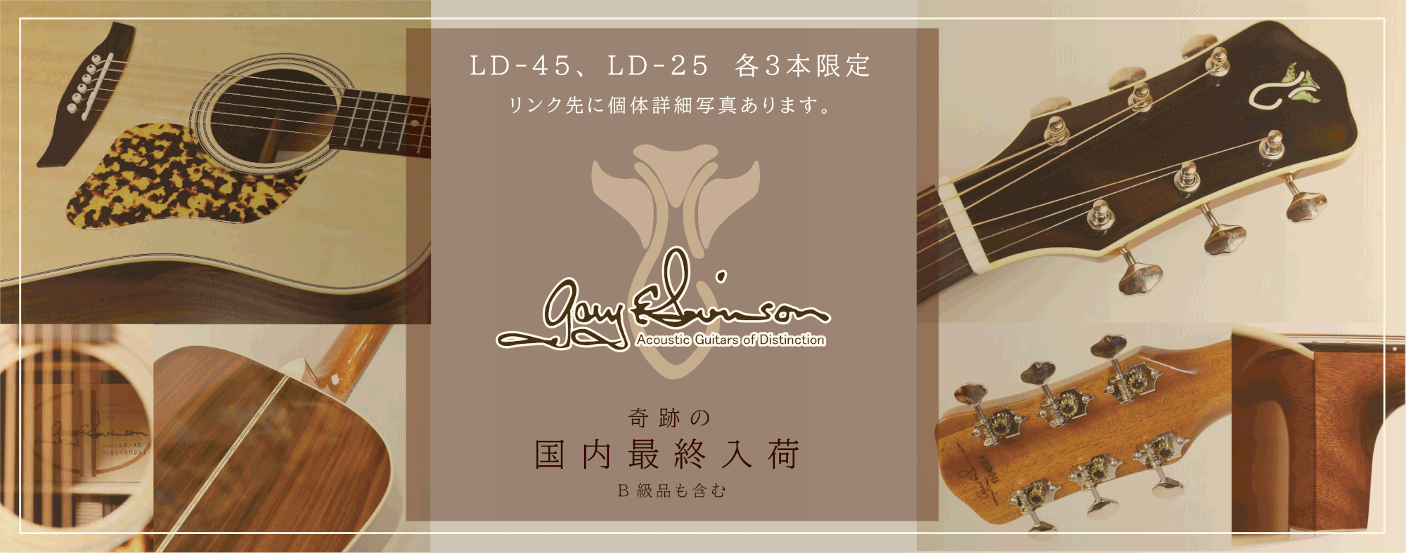 LEVINSON LD-25＆LD-45入荷！