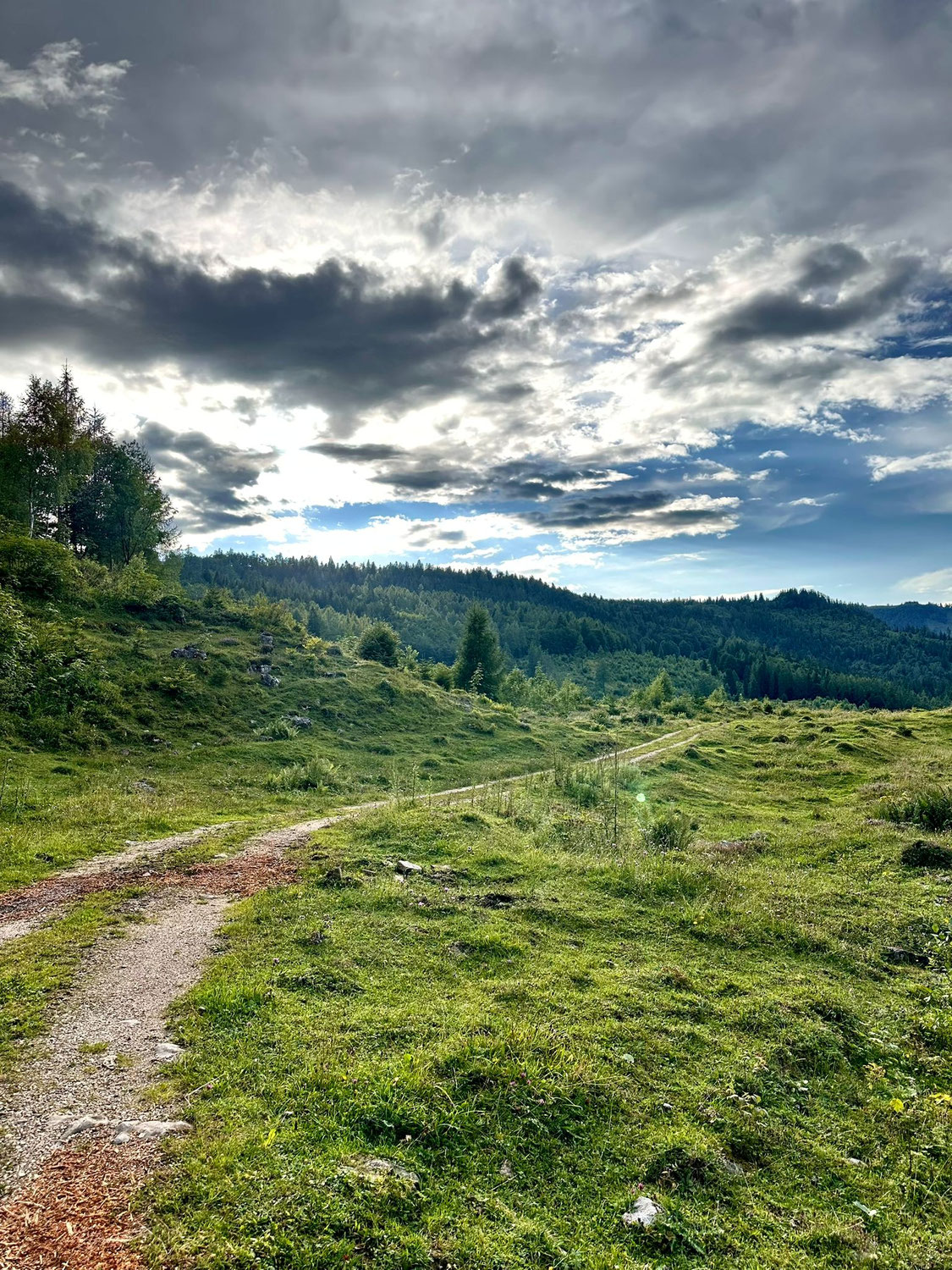Wenn das Sein ruft – meine Reise zur inneren Schöpferkraft