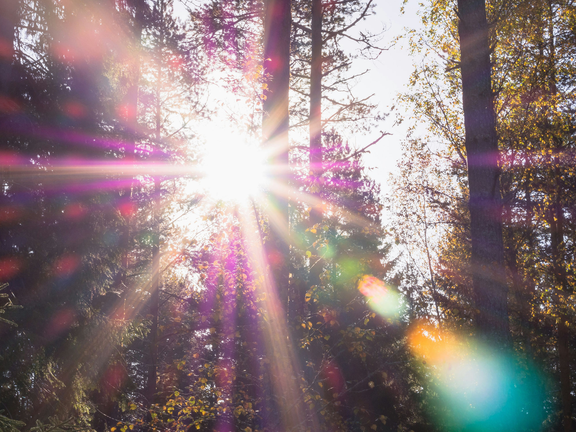 Herbst-Newsletter