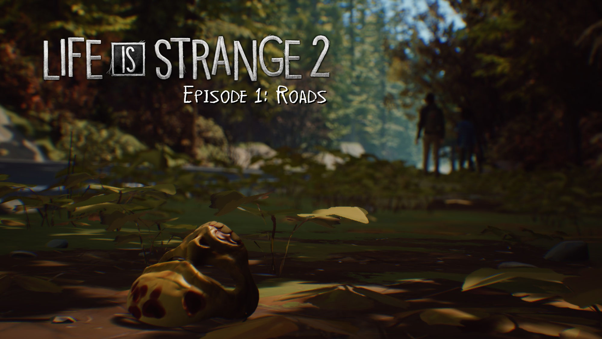 Life is Strange 2 - Auf der Flucht mit den Gebrüdern Diaz (Review)