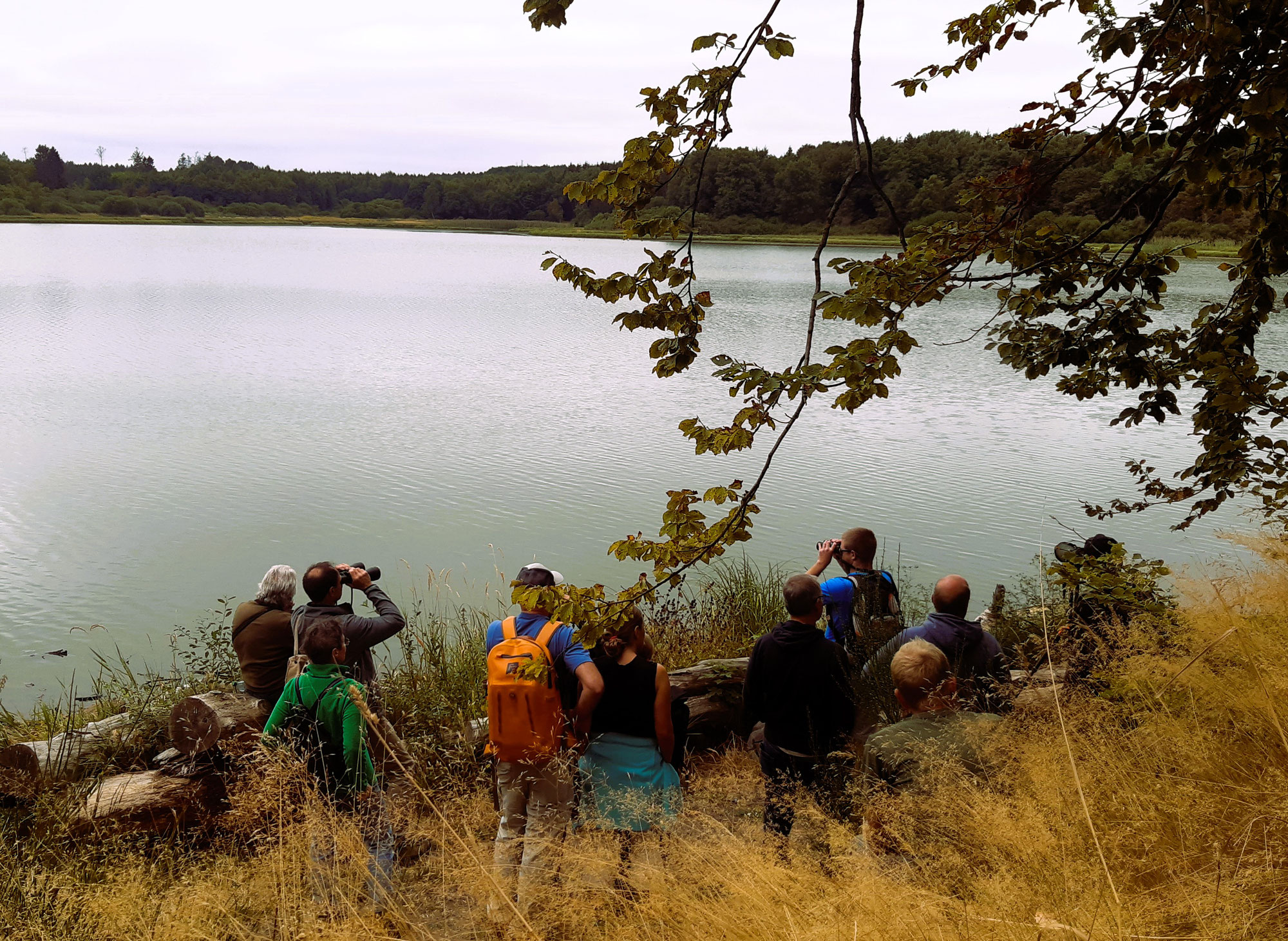 NABU-RLP bildet Wäller Seen Scouts aus