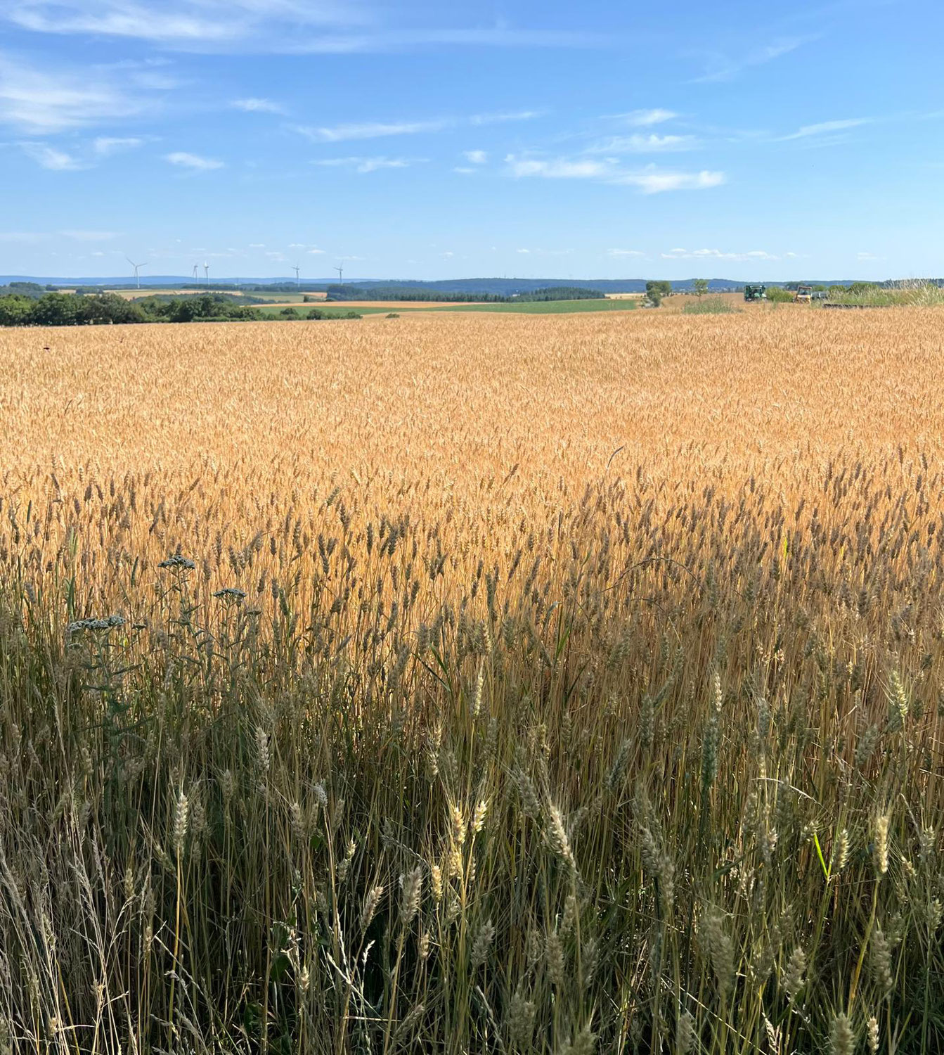 7.7. – Ein Moment für Dich