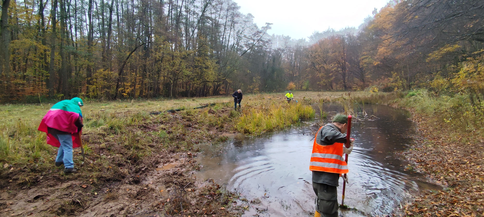 Arbeitseinsatz am Ausgleichsgewässer