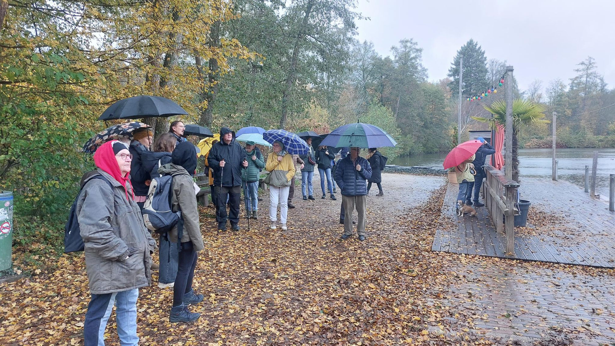 Herbstspaziergang im Regen