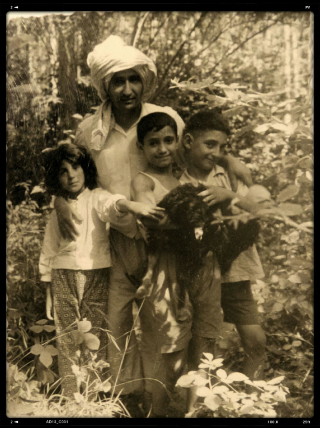 The Photo