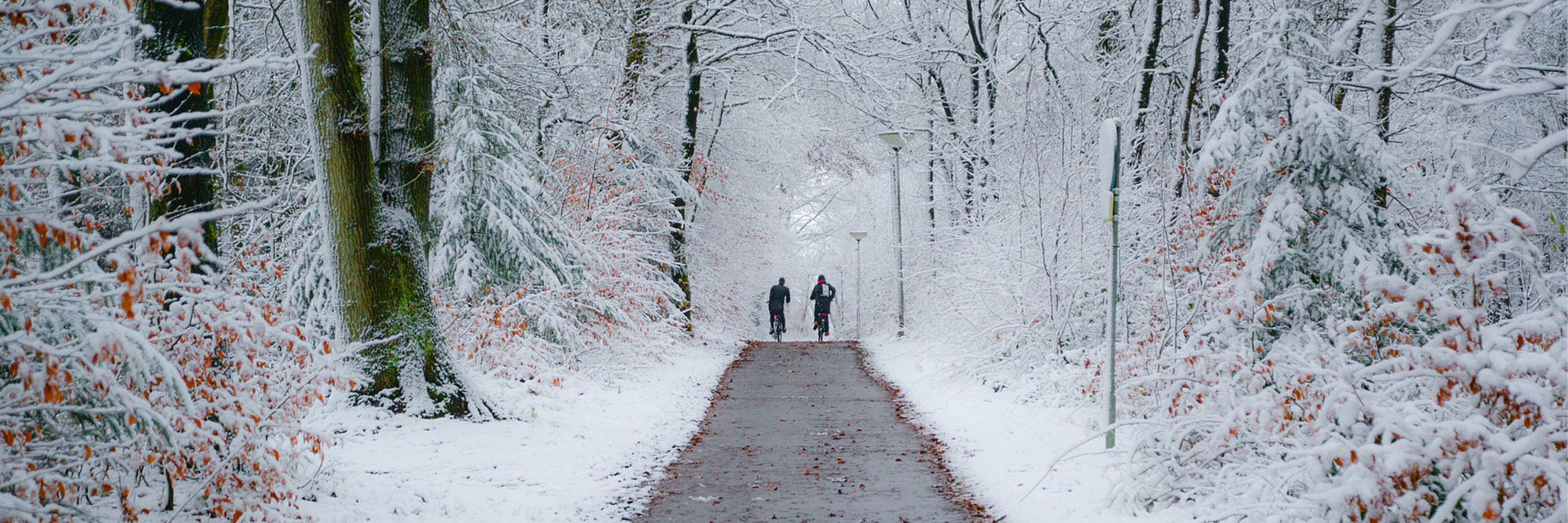 Wintercheck - So bringst du dein Bike sicher durch den Winter