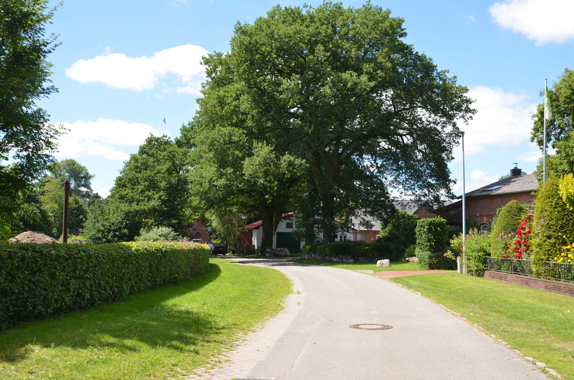 Arpsdorf.de Erfahrungen und Bewertungen