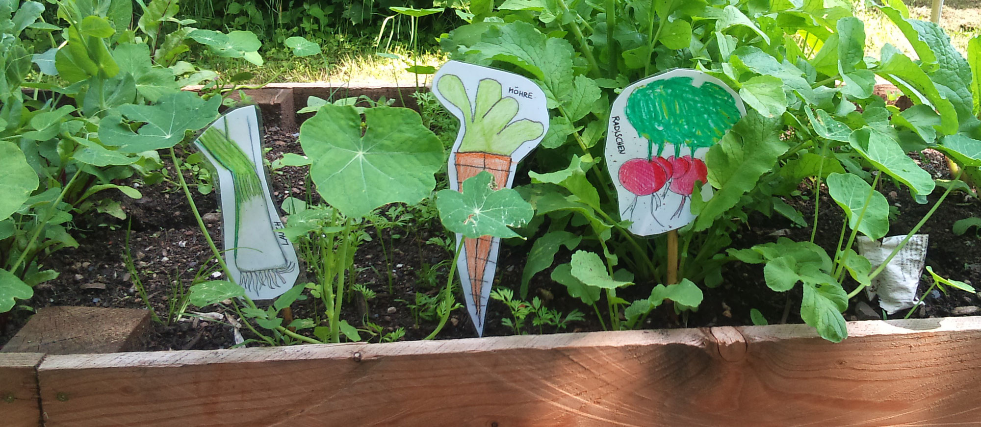 Hochbeete - kindergartenpatens Webseite!