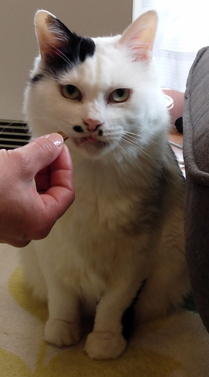 ふくちゃん