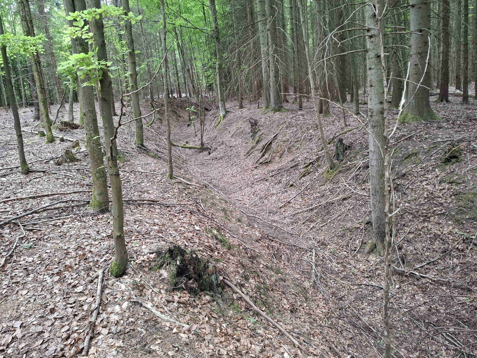 Eine Altstraße bei Grafenried