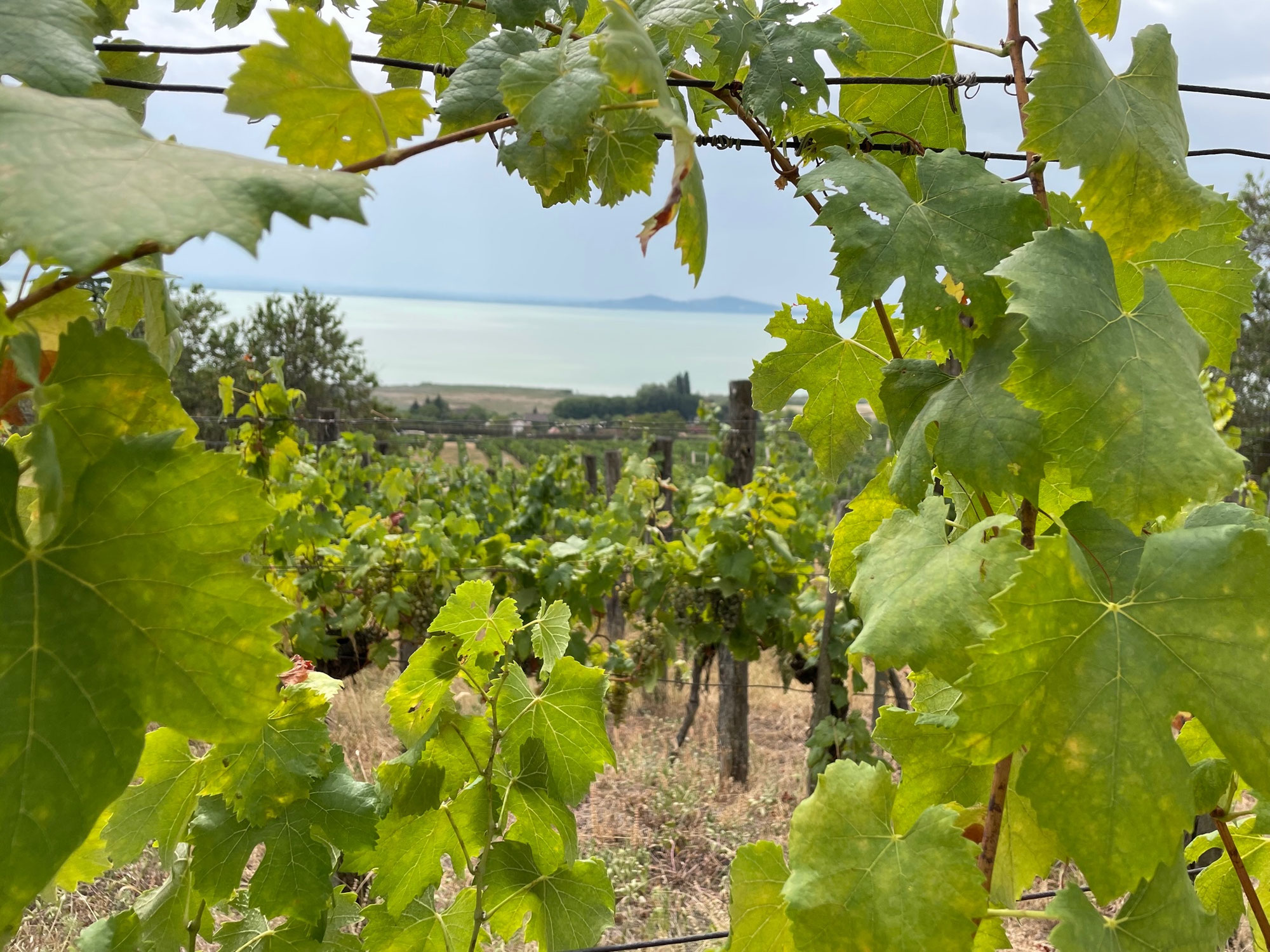 AT/HU turisztikai helyzetkép - 2022. szeptember