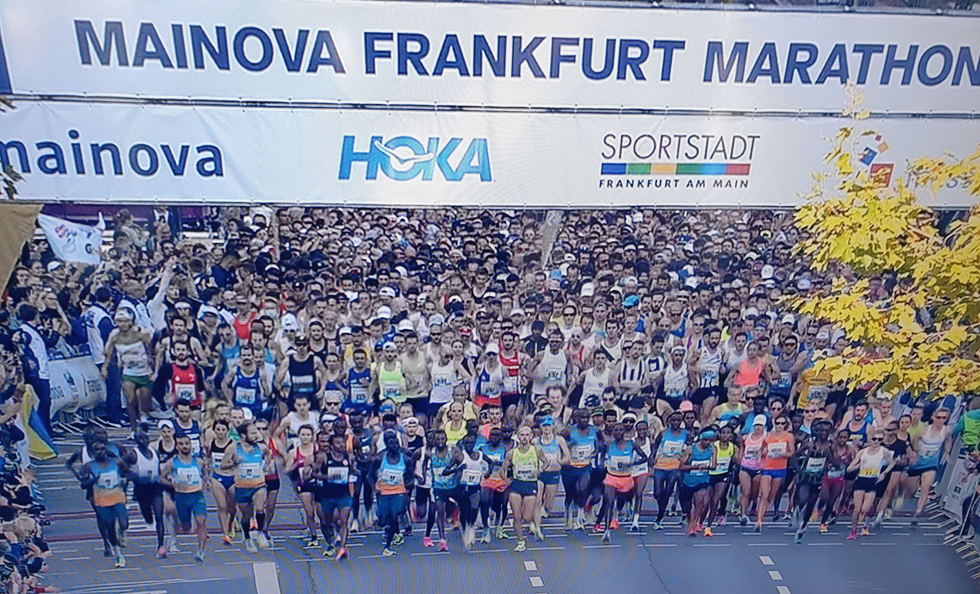 Frankfurt Marathon 2022