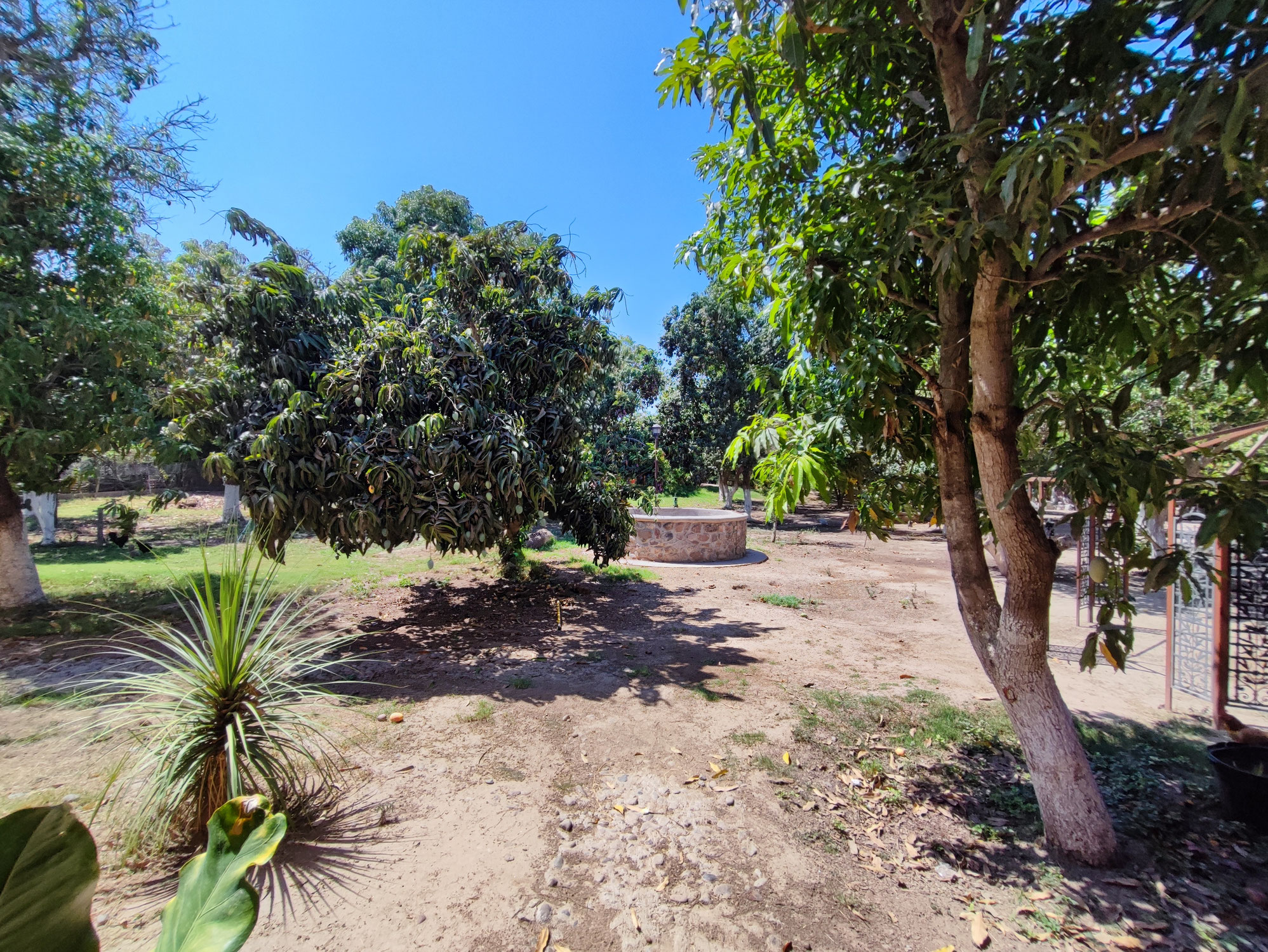 QUINTA CAMPESTRE LOS MOCHIS- EJIDO SAN ANTONIO