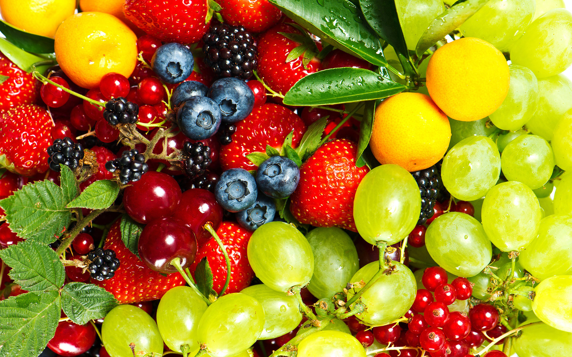 Verschil tussen groente en fruit Fleur's Frutas del Sol