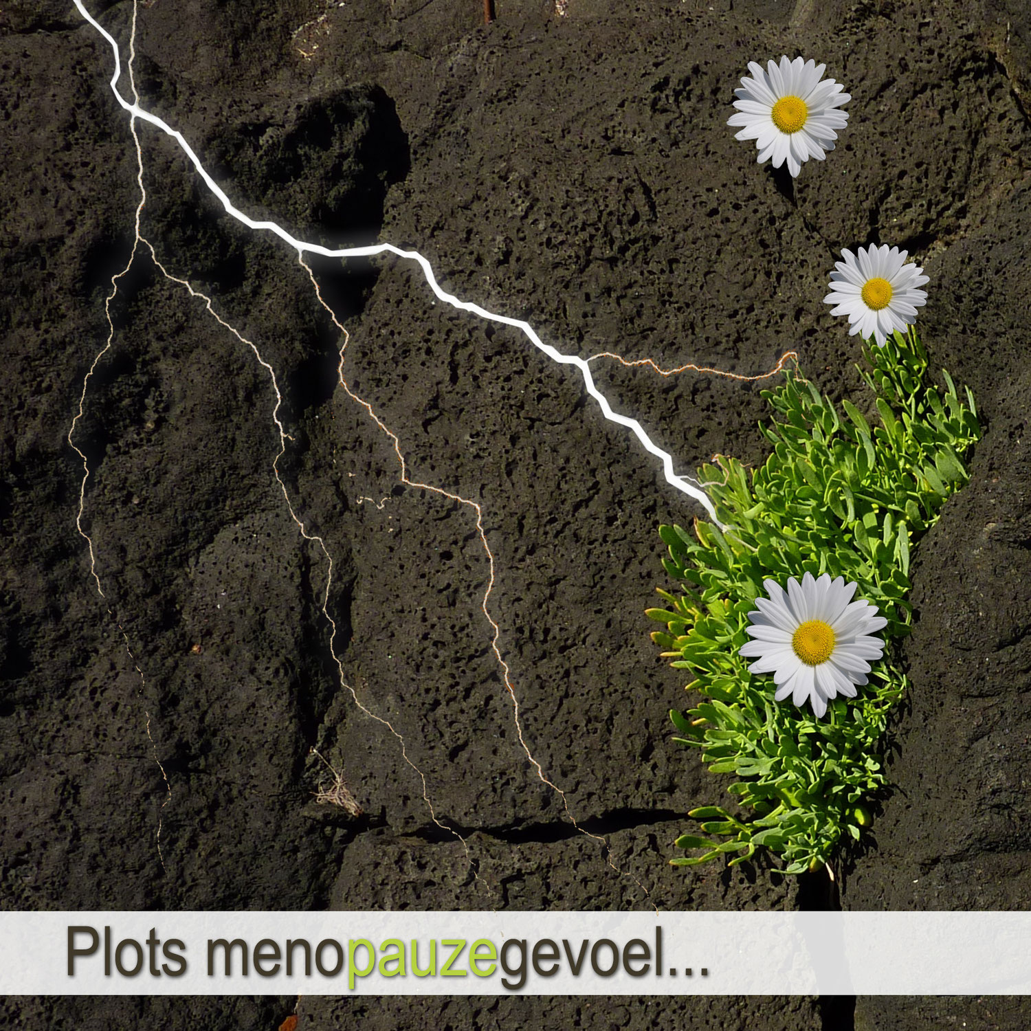 Plots menopauzegevoel