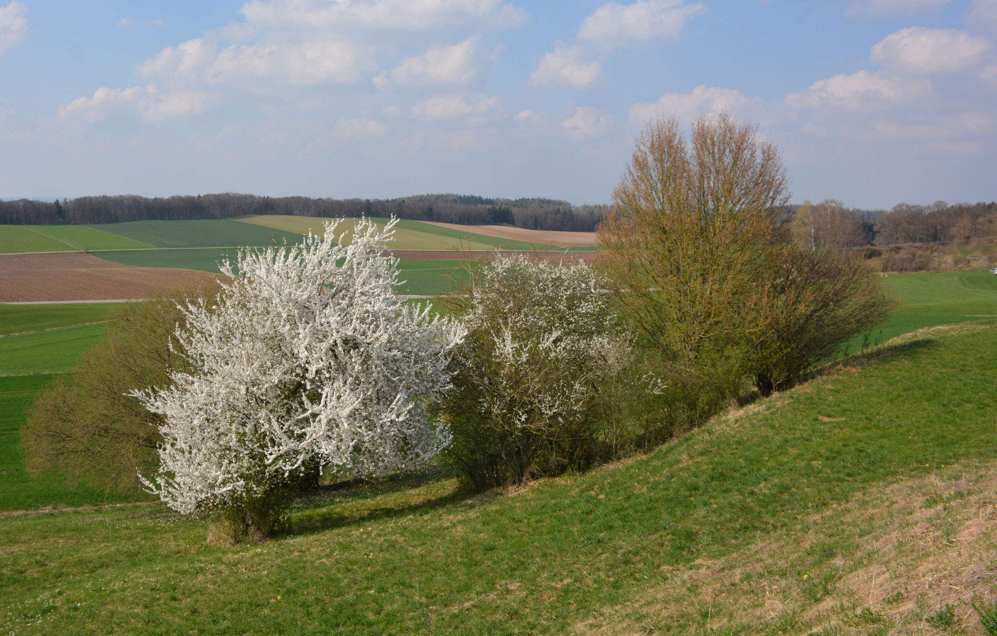 Förderung von Biodiversitäts-Maßnahmen