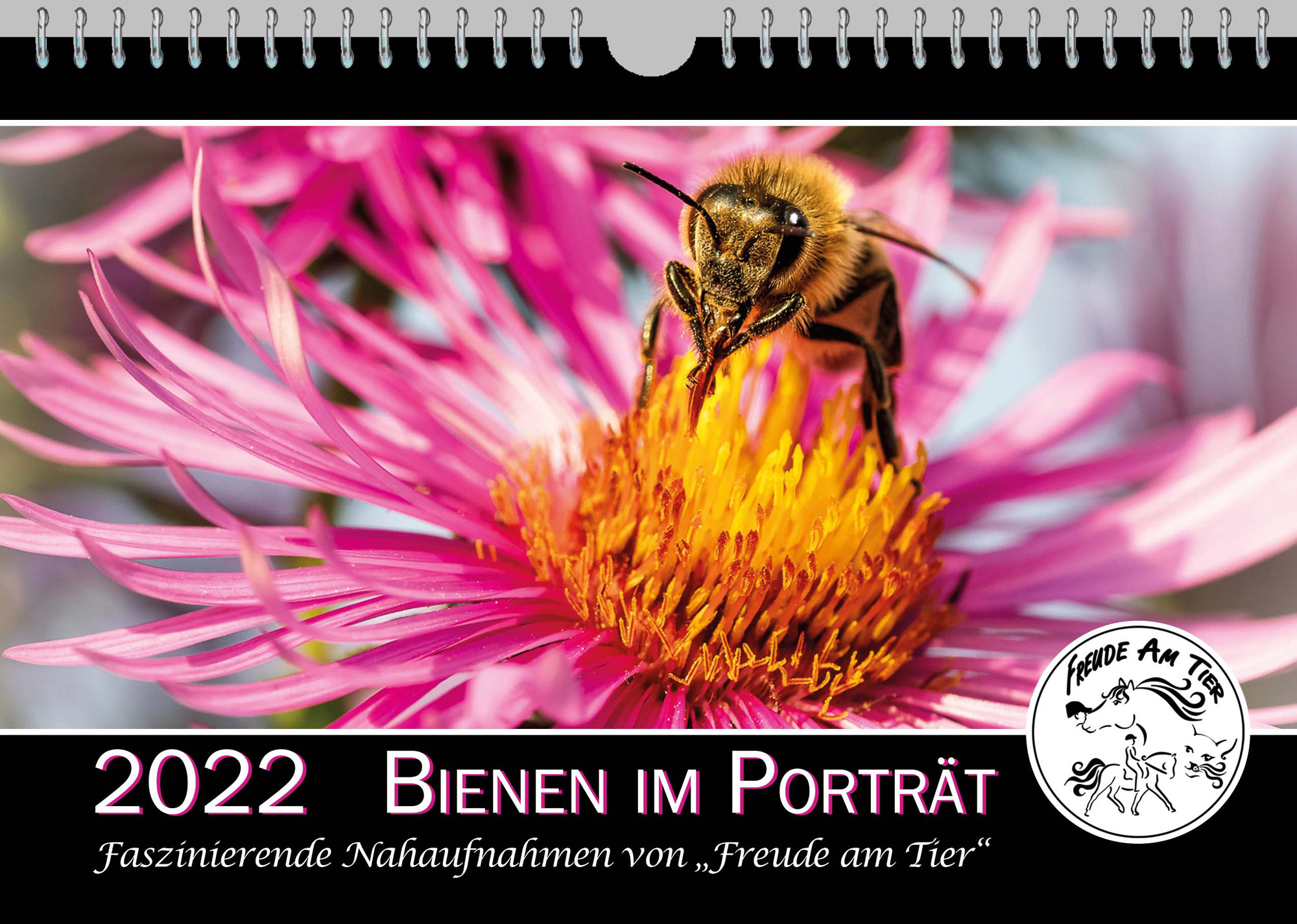 Kalender 2022: Bienen im Porträt - Faszinierende Nahaufnahmen