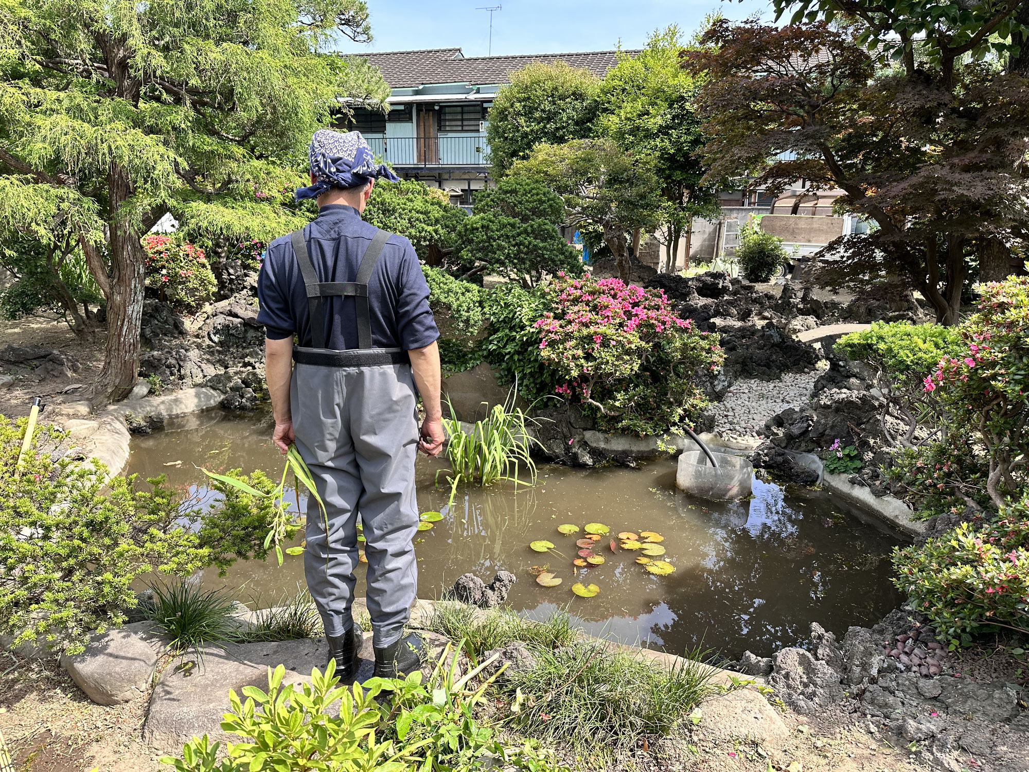 川崎市中原区の個人邸の池のメンテナンスを行いました。