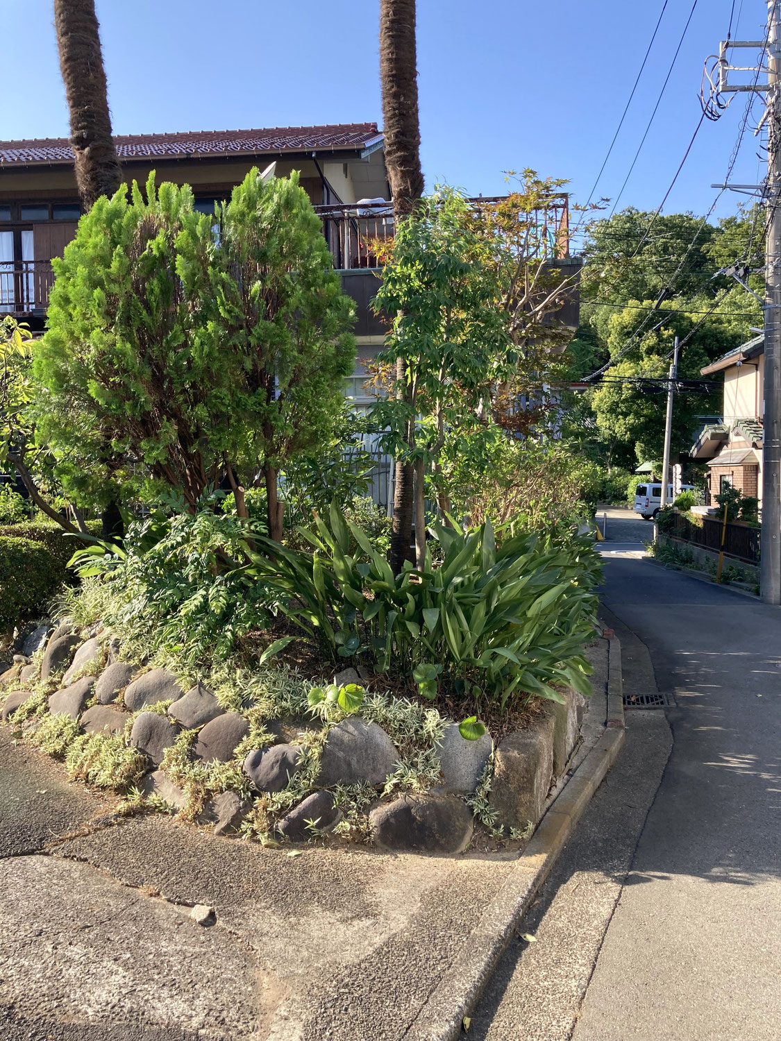 横浜市港北区の個人邸の庭園管理を行いました。