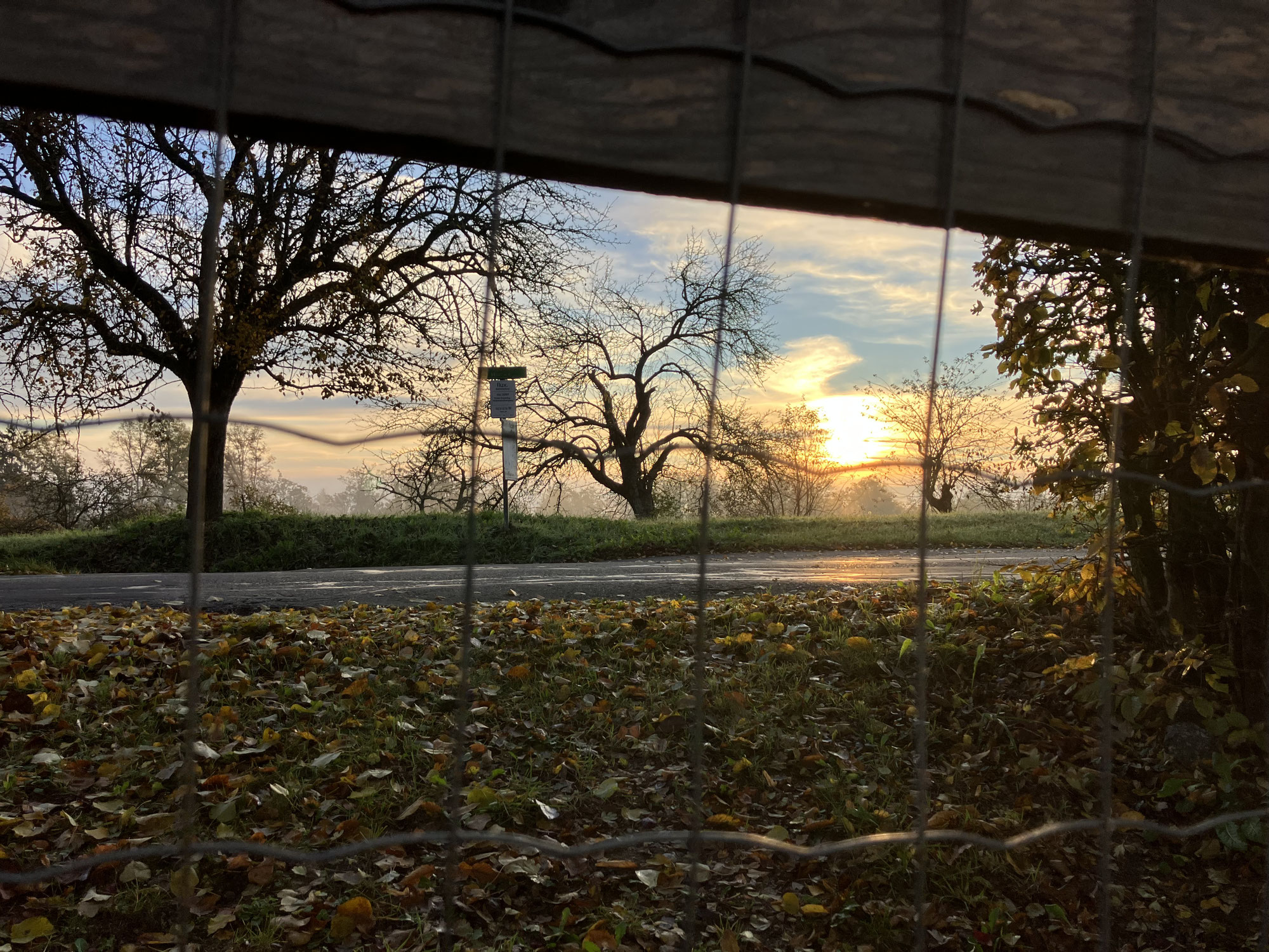 Die Welt ist schön... / The world is beautiful...