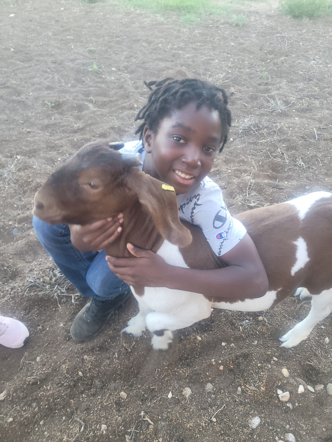 Faithful Companions Point Us to God's Unconditional Love