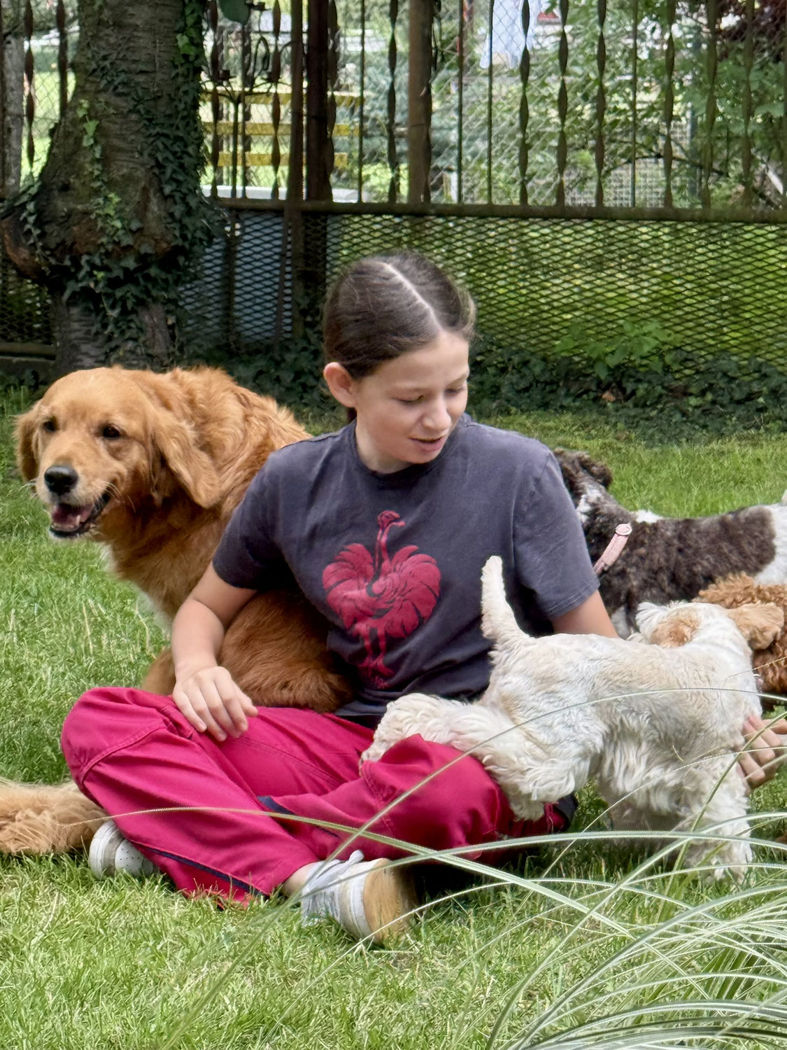 Besuch bei Happy Schnoodle's