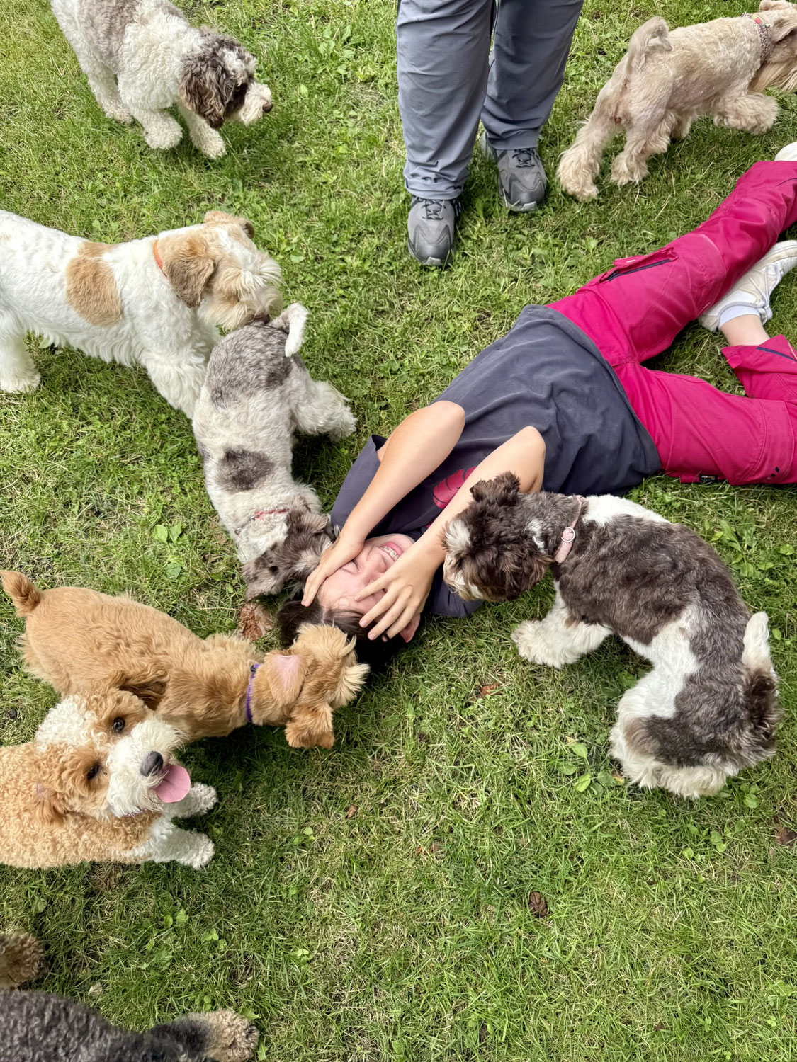 Besuch von Kathy, Ida, Muffin und Nell