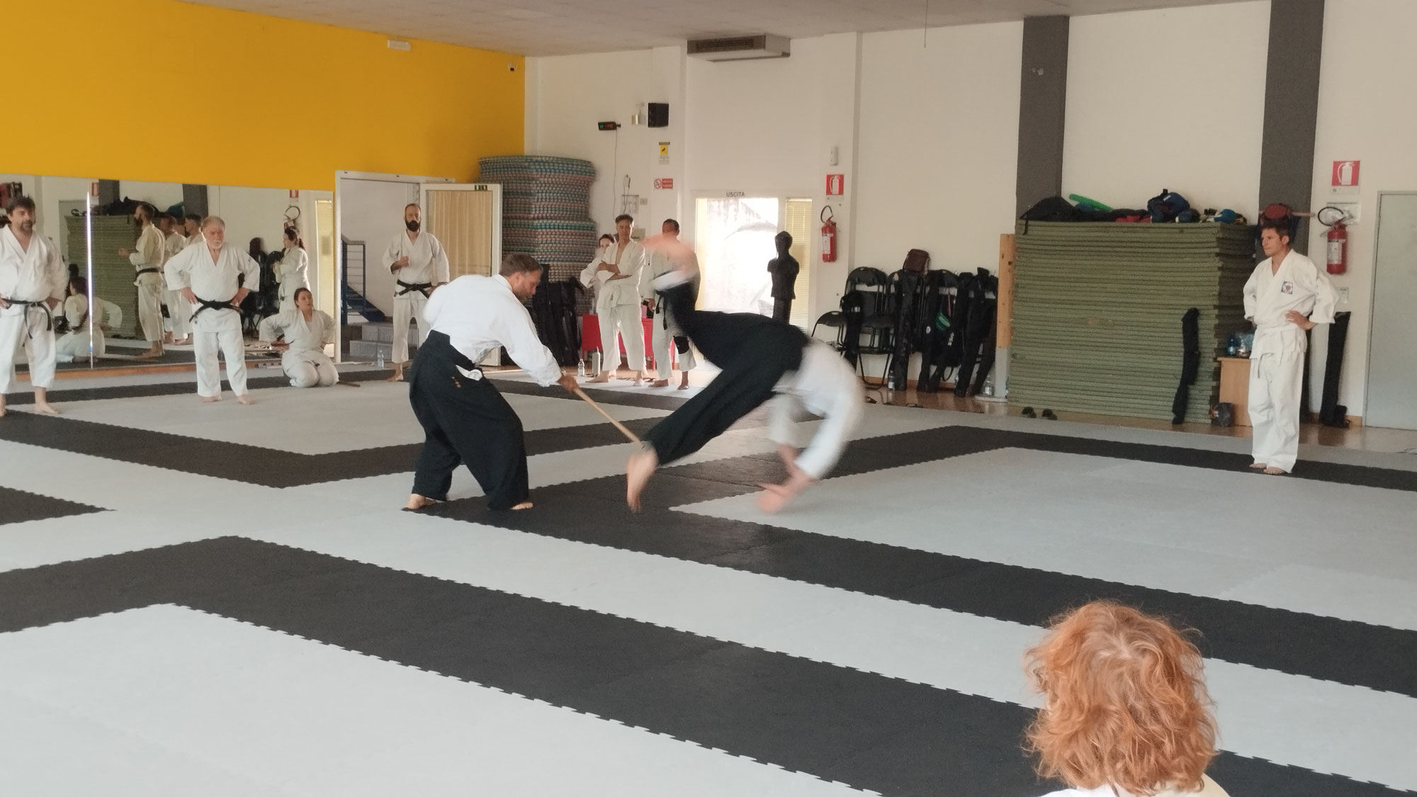 Ottimo seminario con Volker Hochwald Shihan