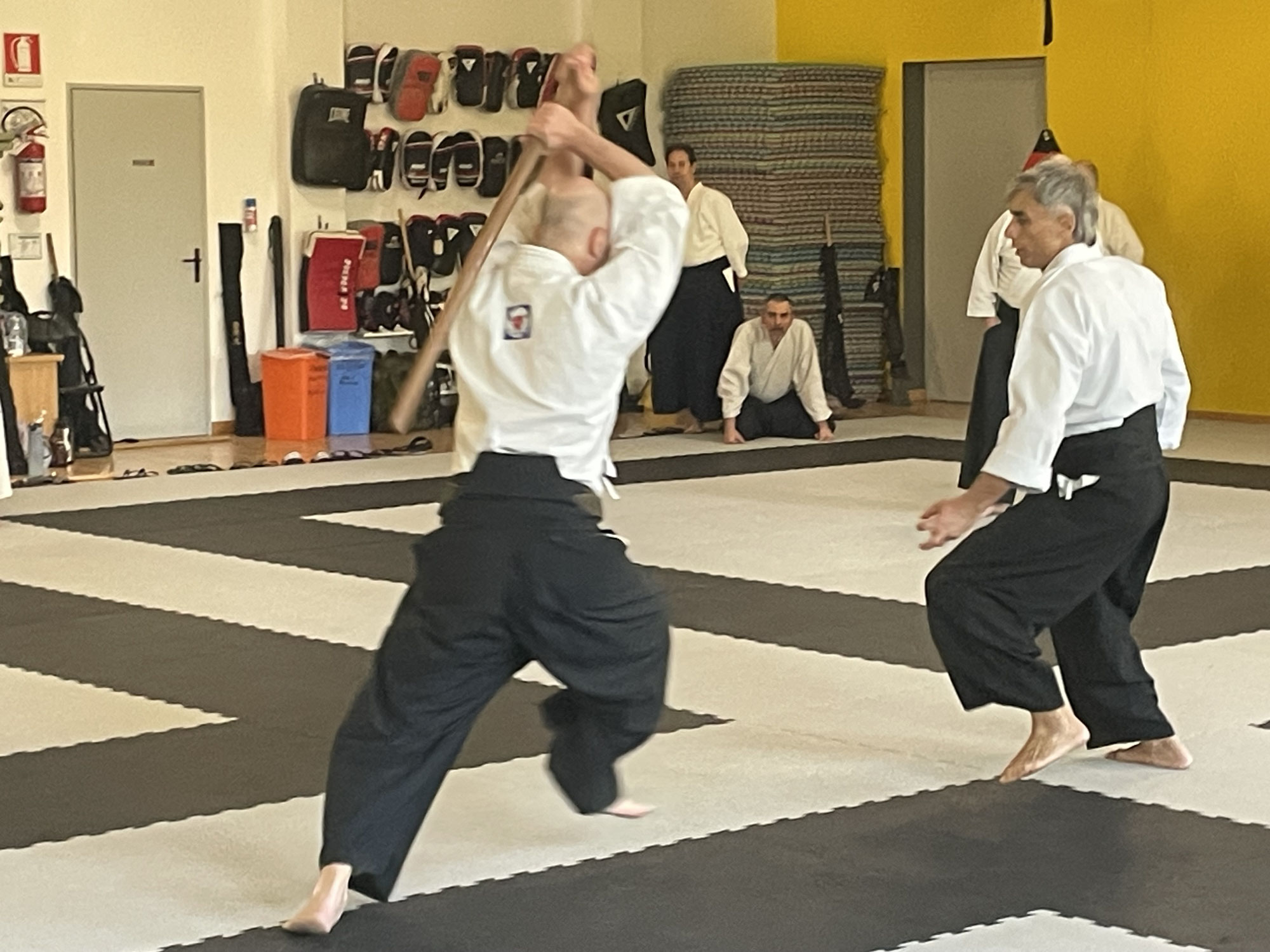 Riuscitissimo seminario di Di Carlo Shihan