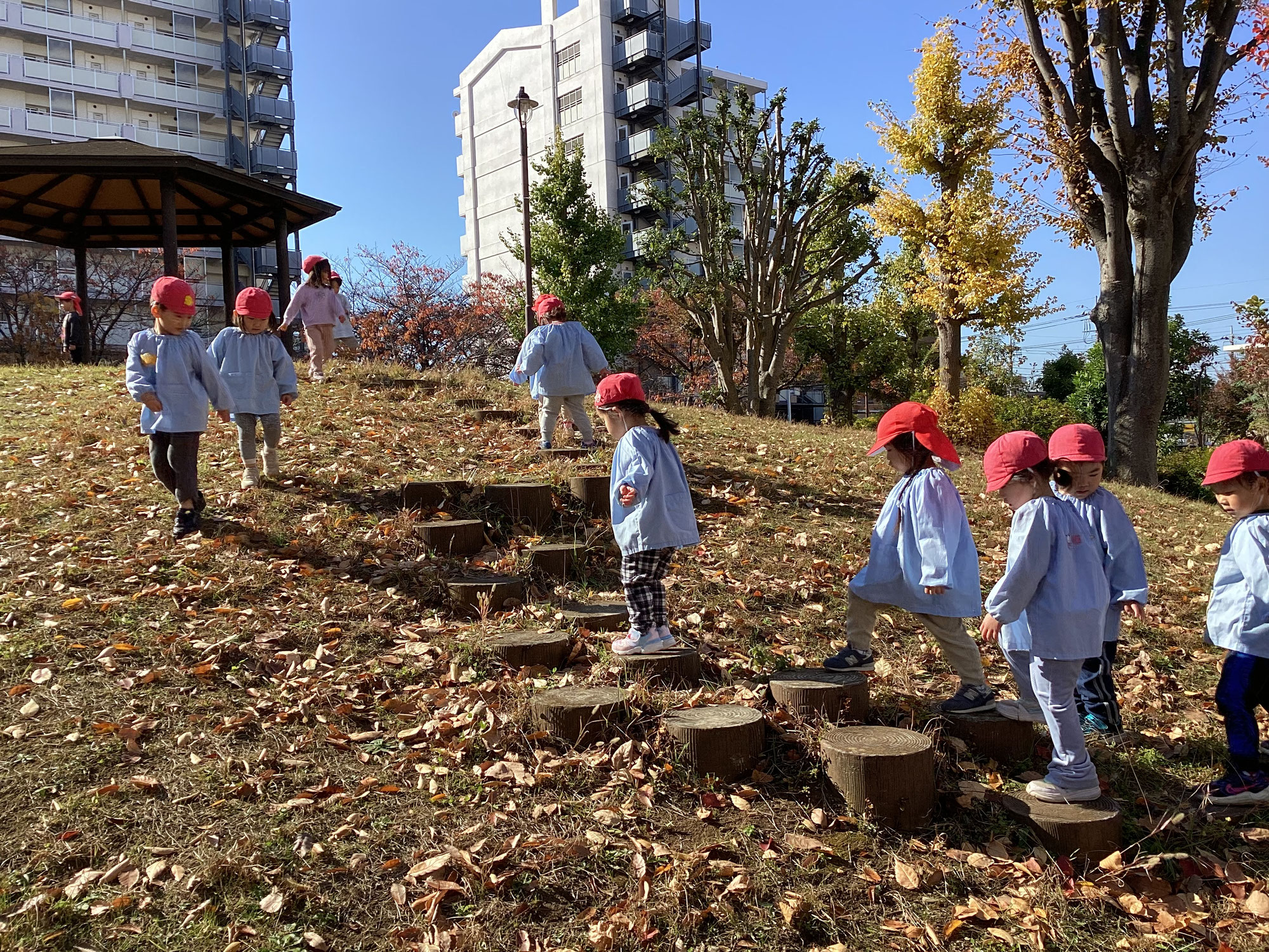 お山公園が大好き