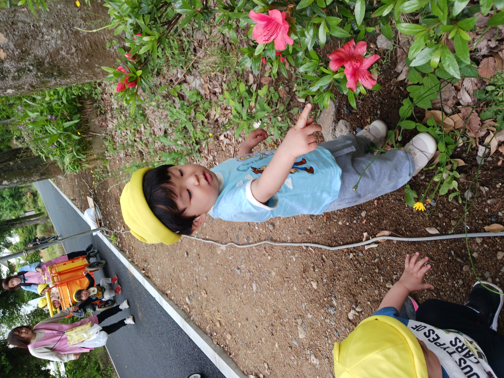 お花も虫もいっぱい！