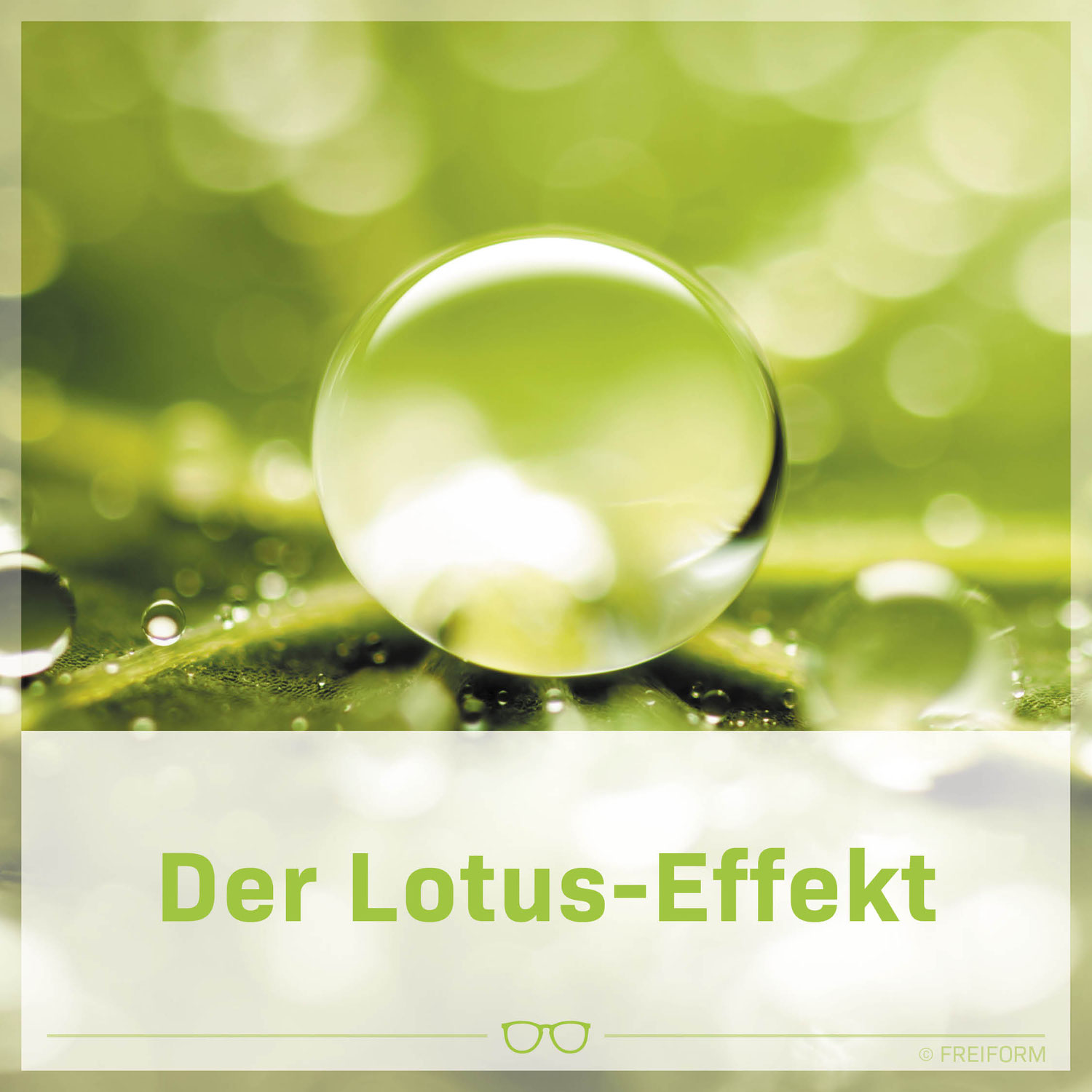 Lotus Effekt