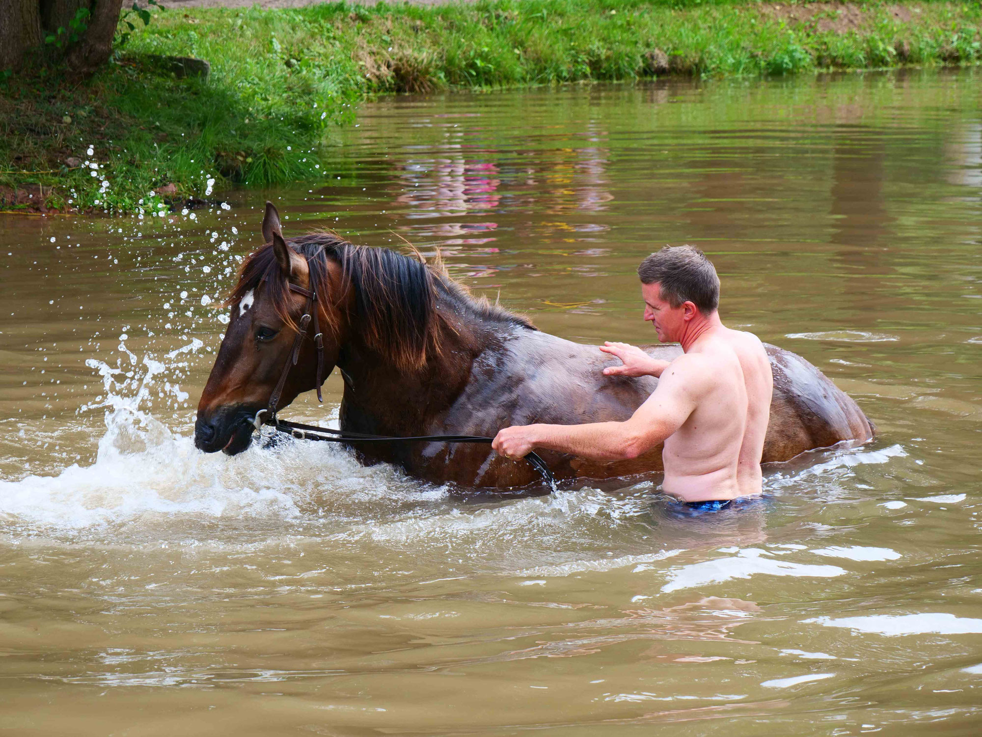 Reiten und Baden Juli 2025