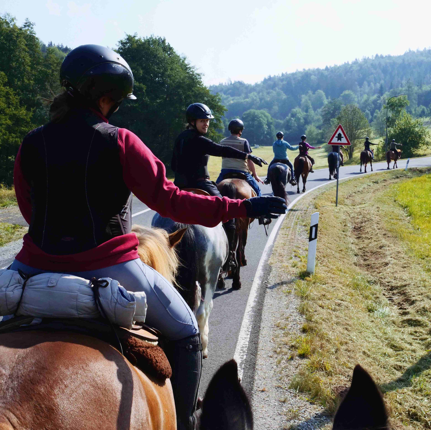 Reitkurse Herbst 2024