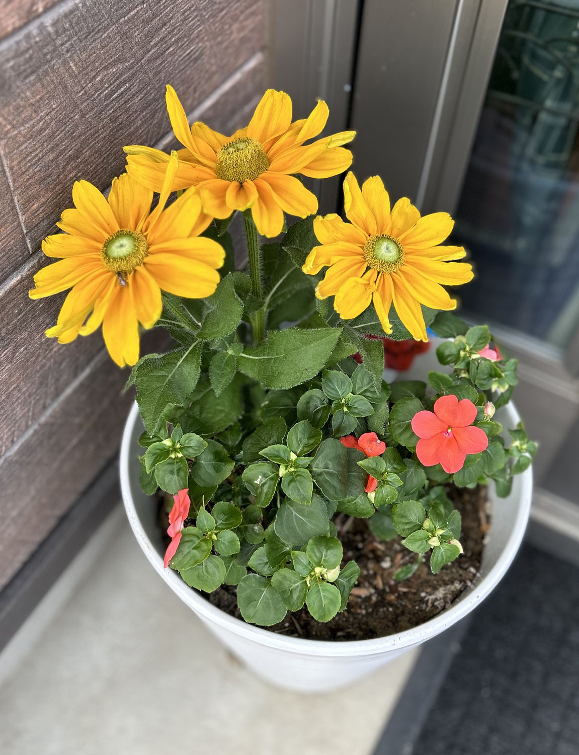 ☆お花を植え替えました☆