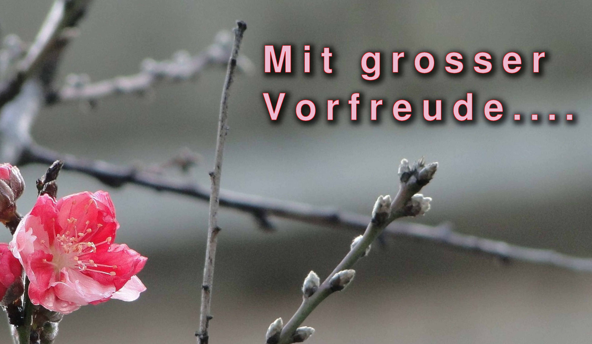 Mit grosser Vorfreude