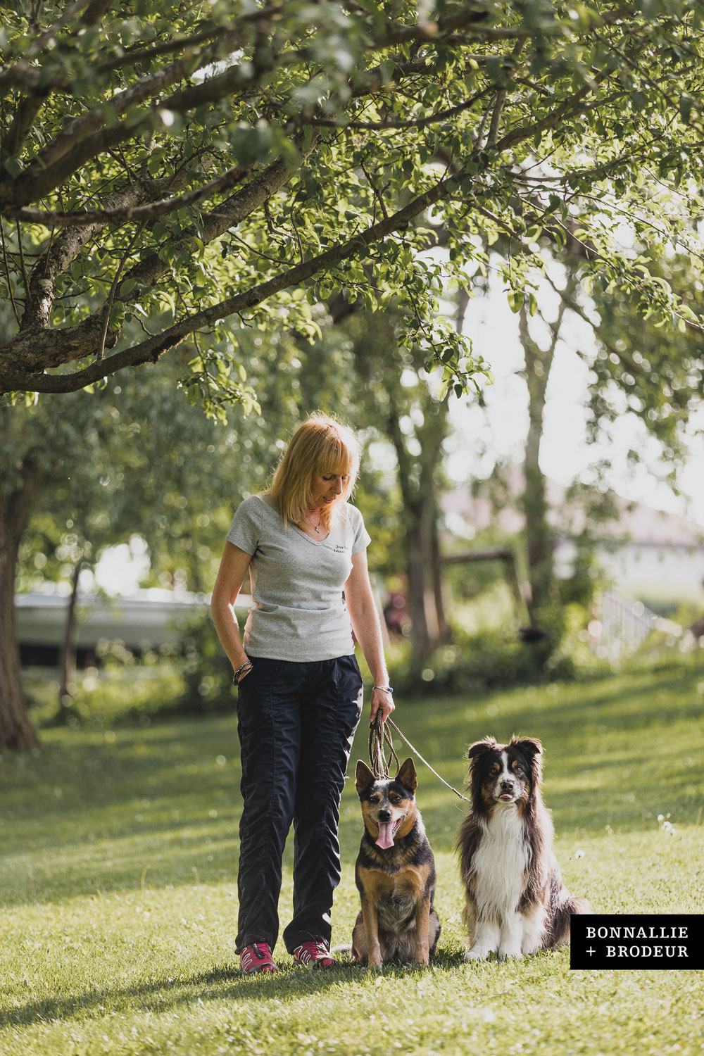 Pourquoi un Éducateur Canin ?