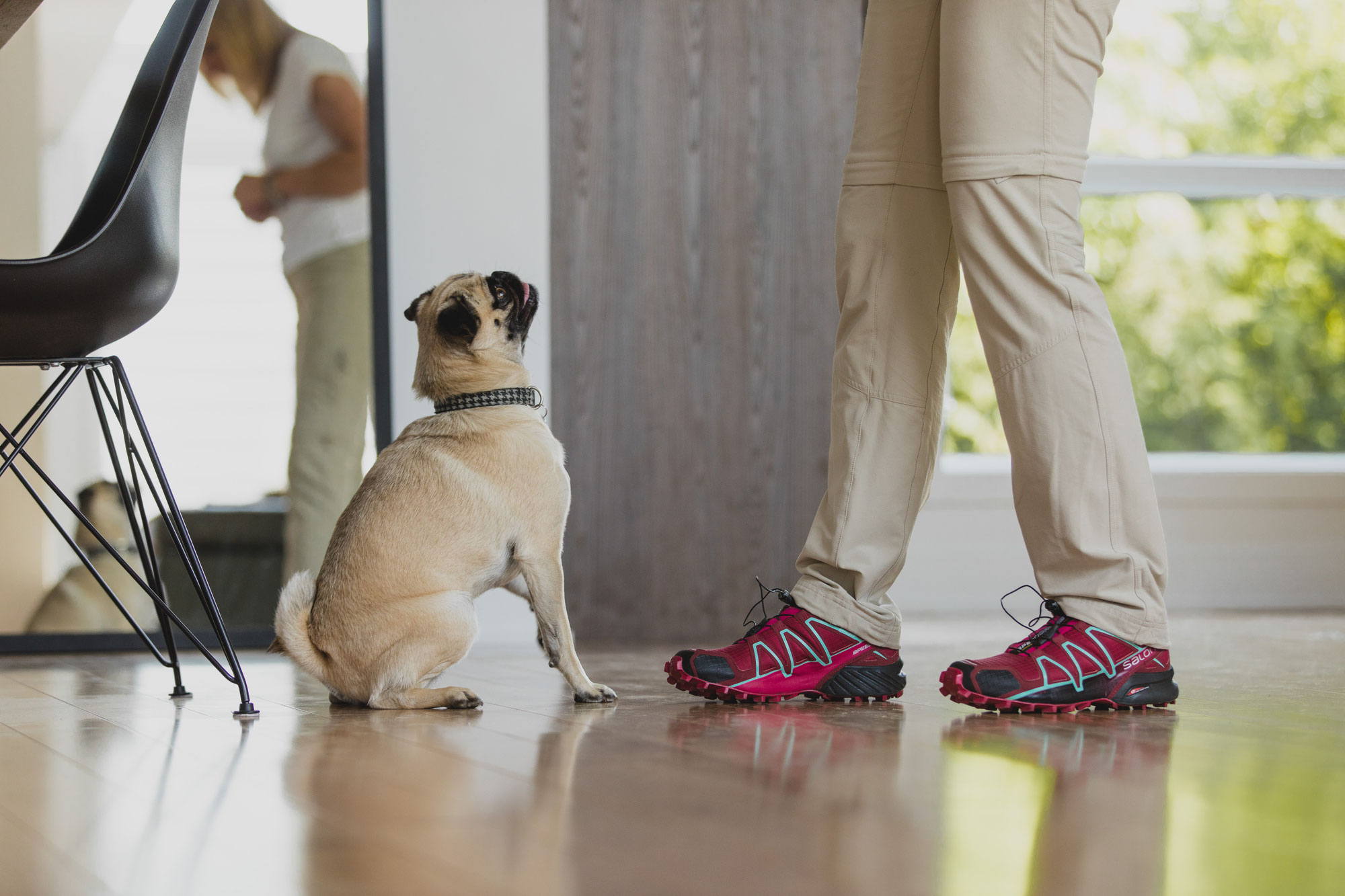 Un chien parfait ?