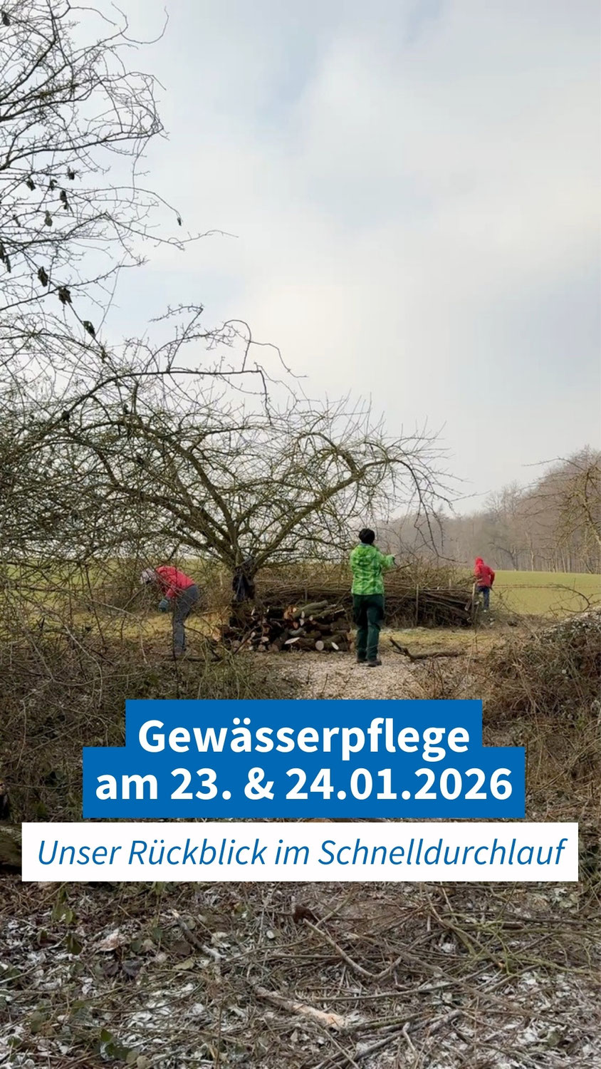 Gewässerpflege am 23. & 24.01.2026