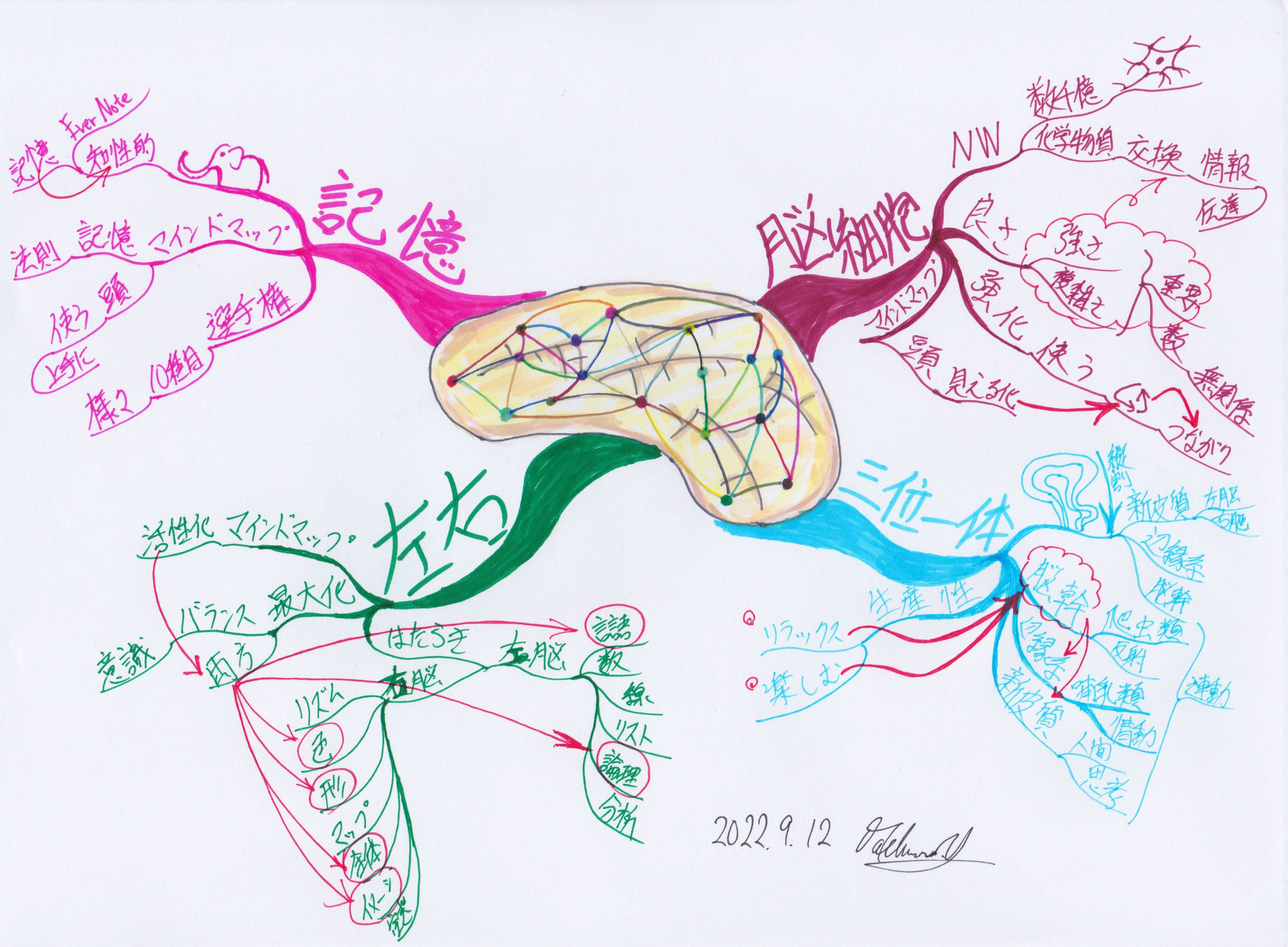 脳の働きとマインドマップ