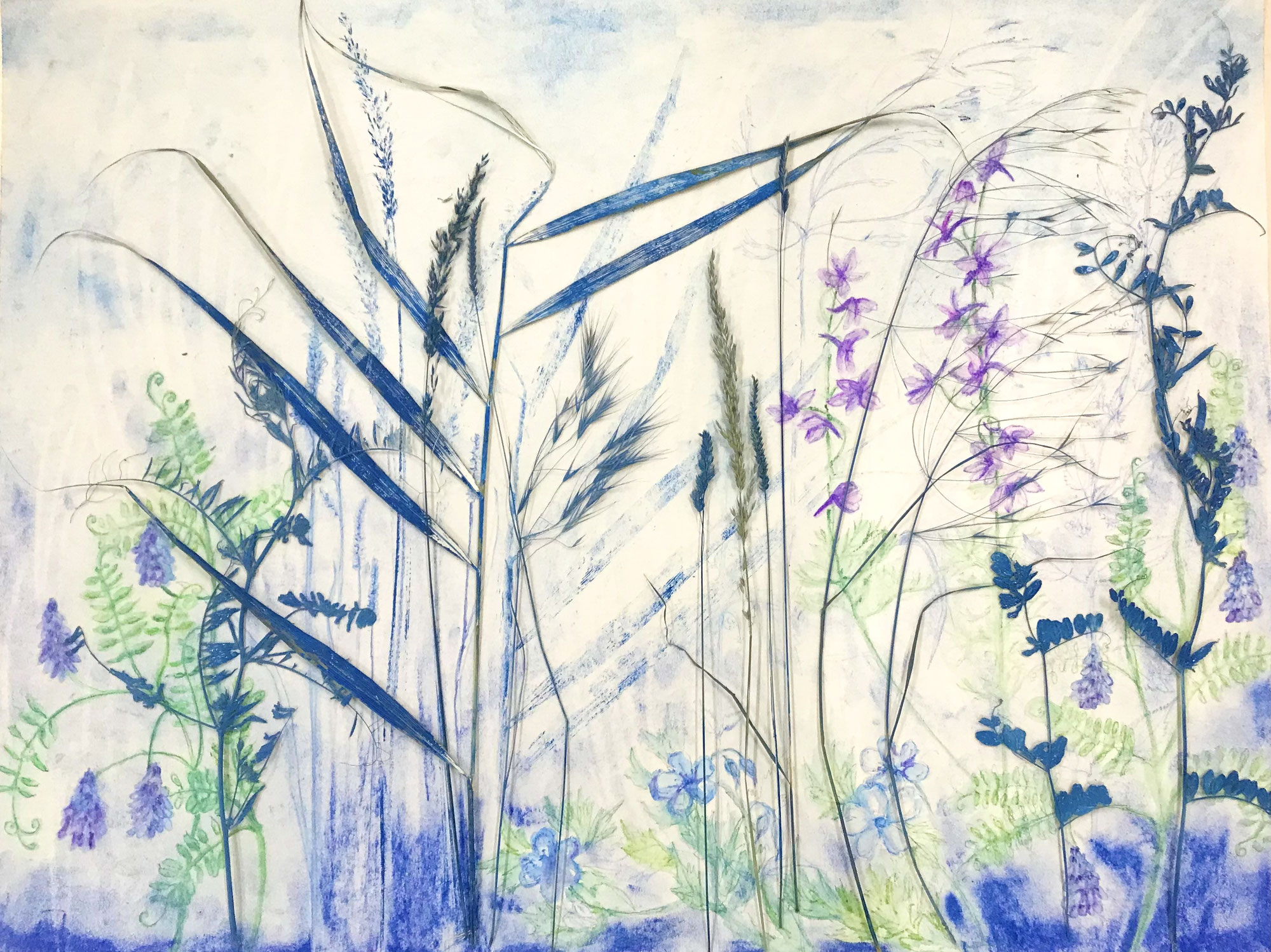 AUSSTELLUNGERÖFFNUNG: MINIMA NATURALIA