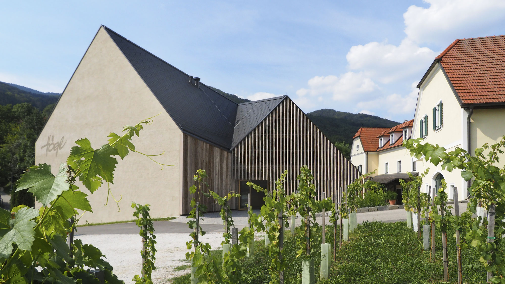 gold NEU /& OVP Woodland WFG171 Hohes Gras gelb