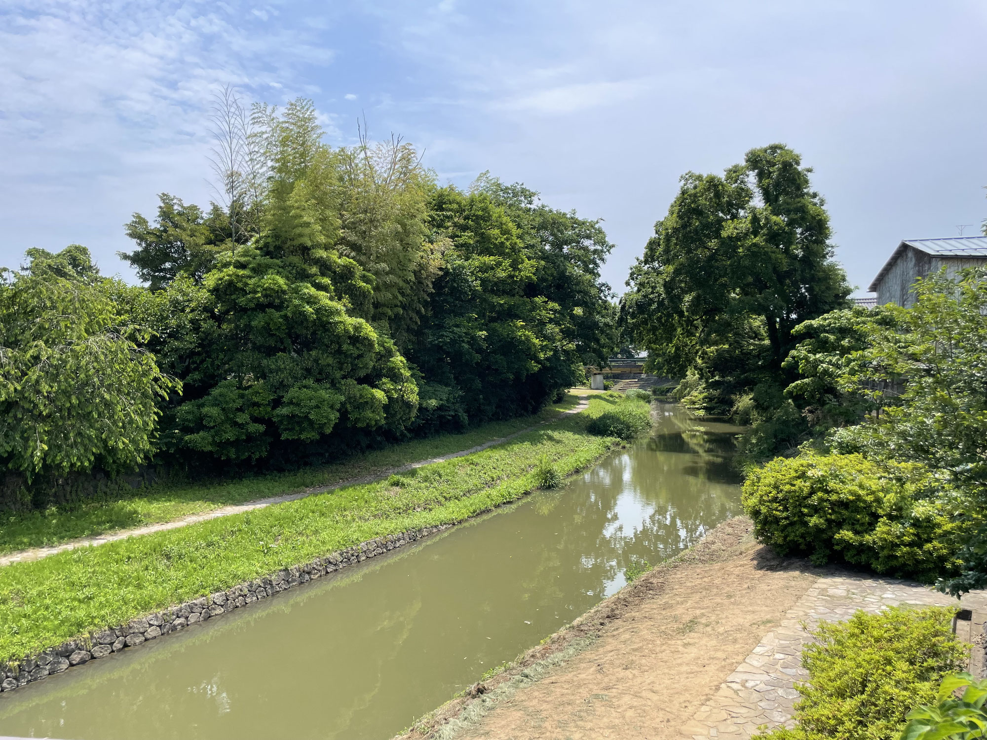 河川美化運動