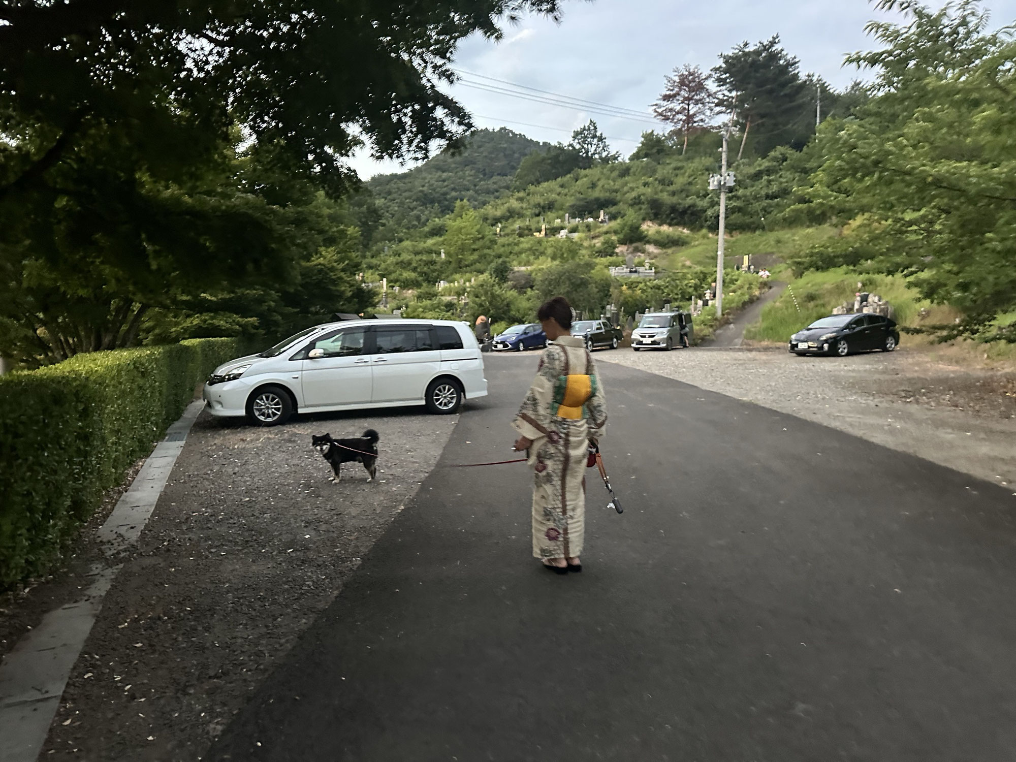 ふくしま花火大会