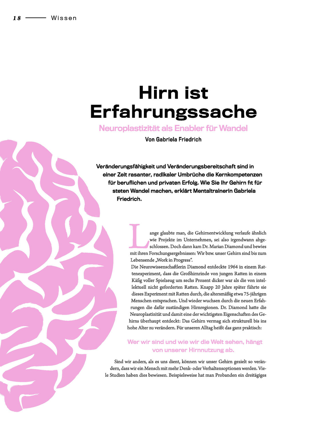 Hirn ist Erfahrungssache - Neuroplastizität als Enabler für Wandel