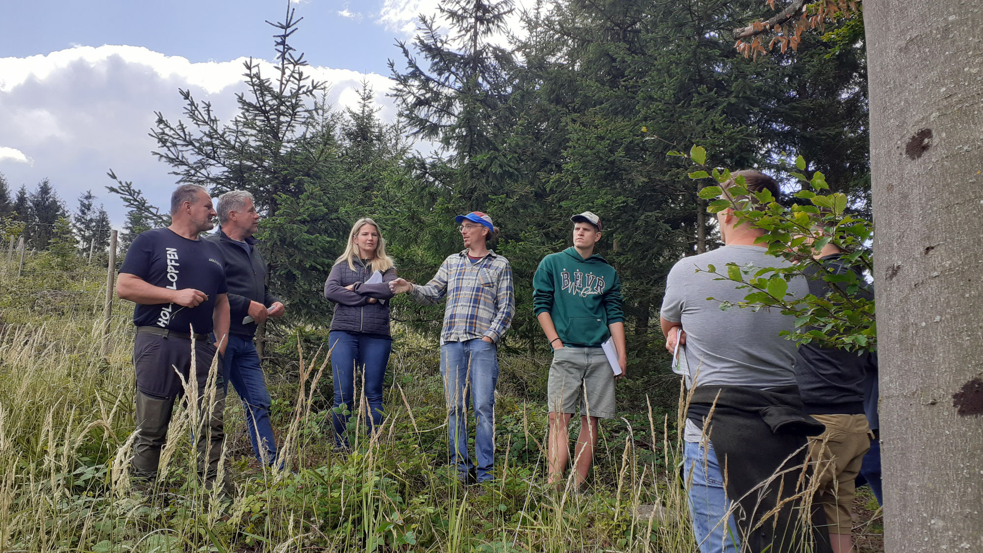 Vorbildprojekt "Wald verstehen"