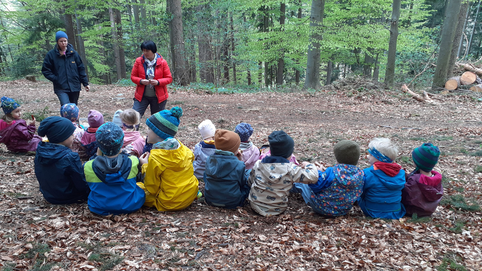 Kindergarten Semriach - ein Vormittag im Wald!