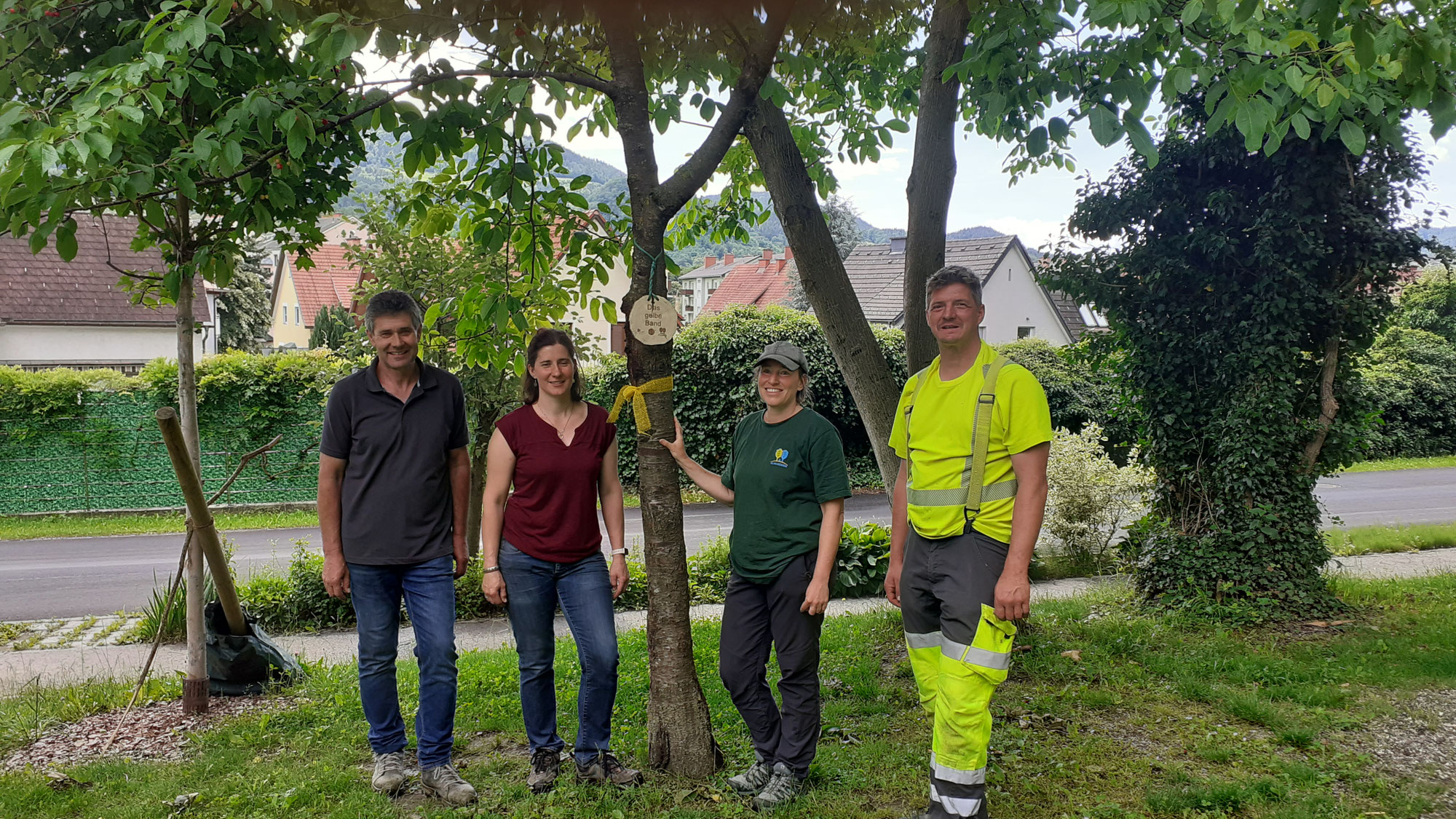 Aktion GELBES BAND - wertvolles Streuobst ernten und verarbeiten