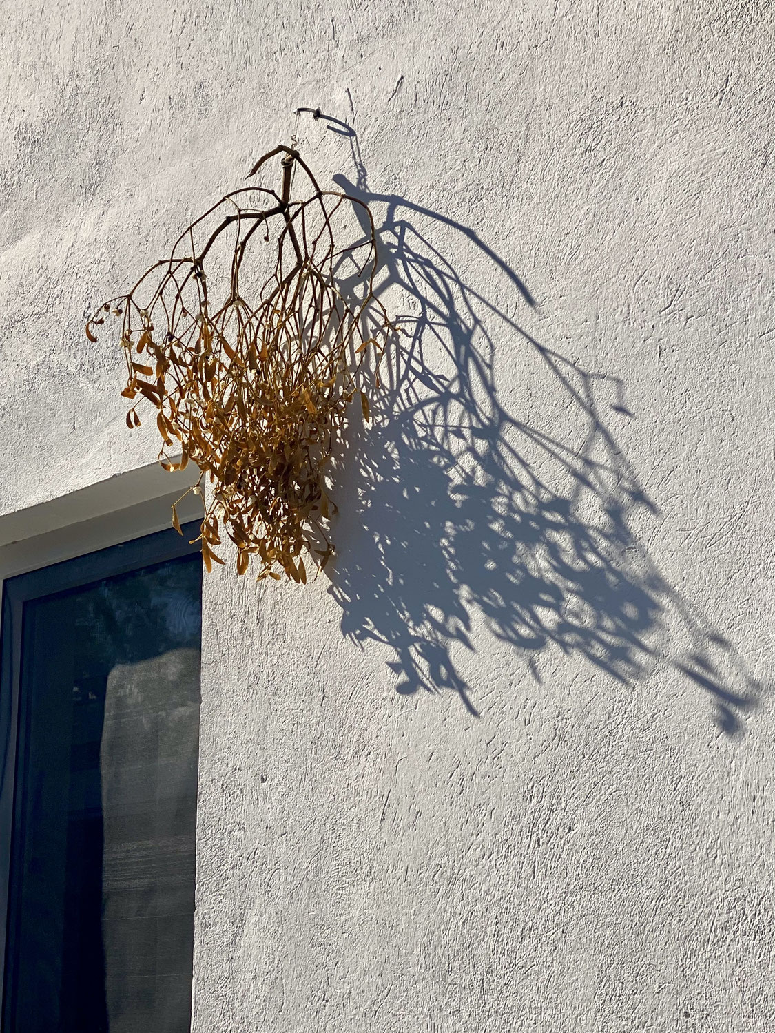 Kaputte Gartendusche