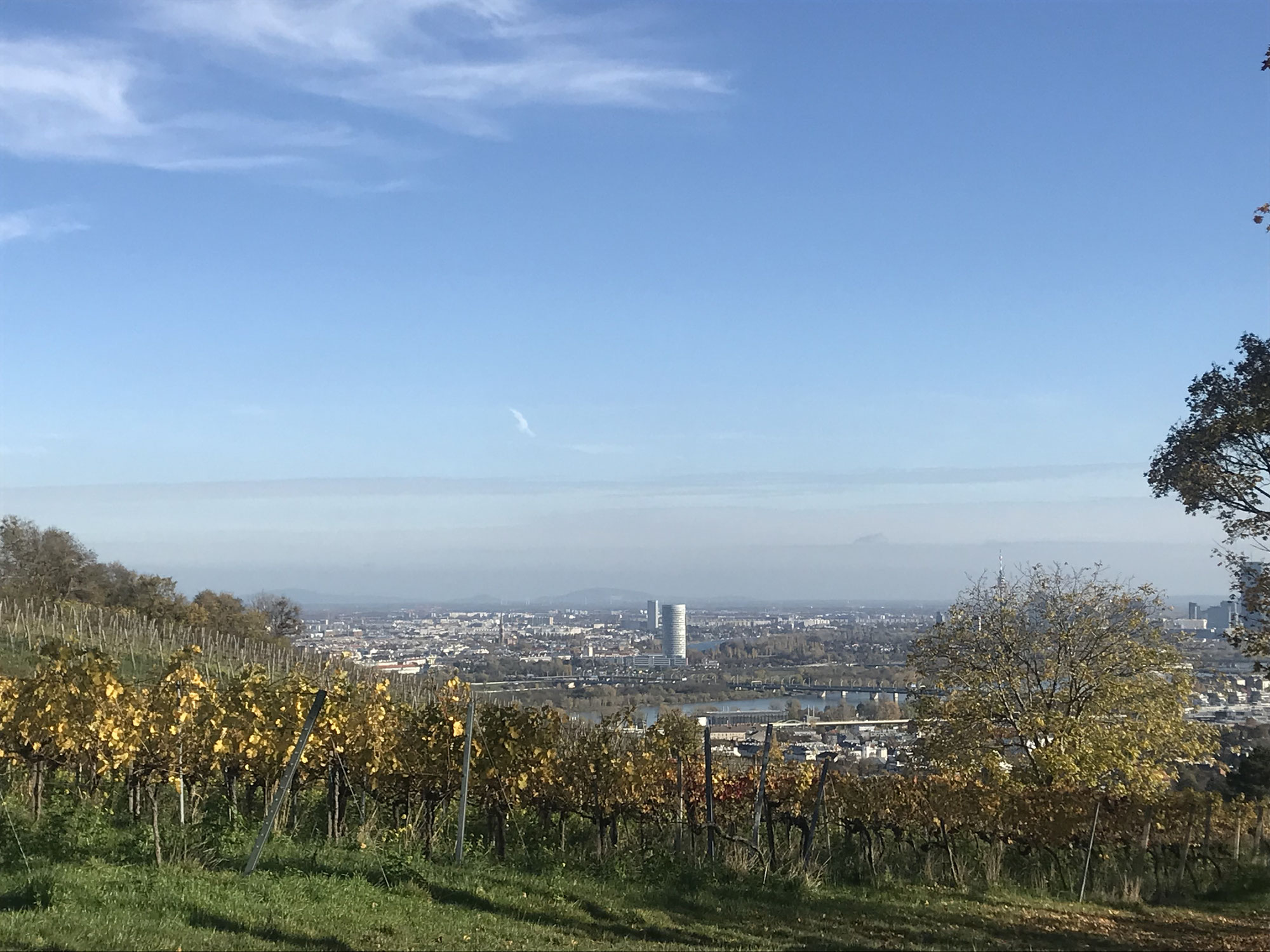 Genuss und Geschichte - Wien